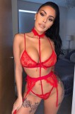 P751-3 Body sexy din dantela cu chocker si portjartiera