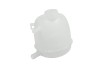 Vas de expansiune, racire RENAULT SCENIC I (JA0/1) (1999 - 2003) TOPRAN 700 337
