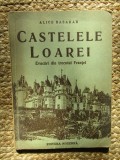 Castelele Loarei Evocari din trecutul Frantei- Alice Basarab