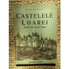 Castelele Loarei Evocari din trecutul Frantei- Alice Basarab