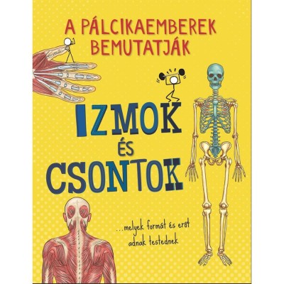 A p&amp;aacute;lcikaemberek bemutatj&amp;aacute;k: Izmok &amp;eacute;s csontok foto