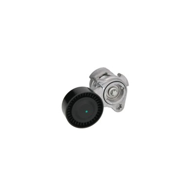 Intinzator curea BMW 7 E65 E66 E67 DAYCO APV2529 foto