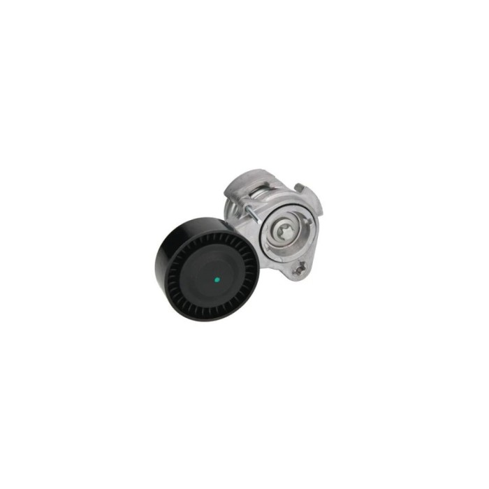 Intinzator curea BMW 7 E65 E66 E67 DAYCO APV2529