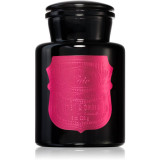 Paddywax Apothecary Noir Linen &amp; Orris lum&acirc;nare parfumată 226 g