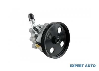 Pompa servo Chrysler Voyager 4 (2000-2008) [RG] #1 foto