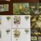 barbados - pasari - serie 4 timbre MNH, 4 FDC, 4 maxime, fauna wwf
