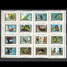 Pasari - Papagali - Umm Al Qiwain 1972