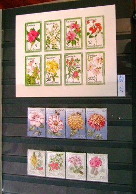 Flora foto