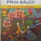 Vantul prin salcii- Kenneth Grahame