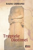 Carte Treptele Diotimei Radu Ciobanu Roman Fictiune Paperback brosat Editura Limes