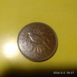 -Y- MONEDA NOUA ZEELANDA 1 PENNY 1952 VG +