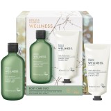 Baylis &amp; Harding Wellness. Energise set cadou pentru corp Ginger, Lime &amp; Basil Leaf