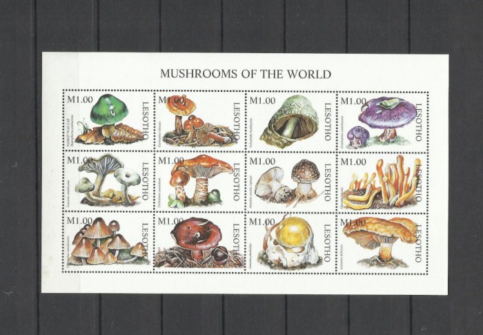 LESOTHO 1998 CIUPERCI