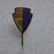 Insigna Sc. Sp. Viitorul Timisoara
