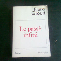 LE PASSE INFINI - FLORA GROULT