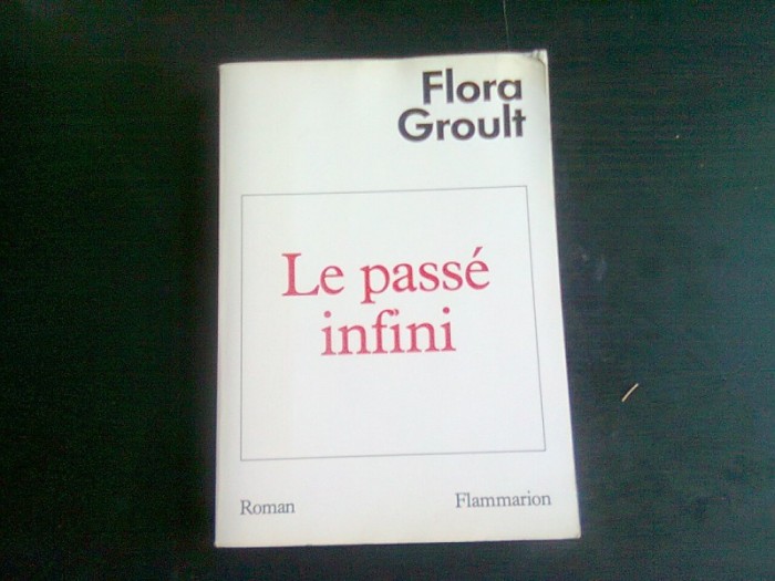 LE PASSE INFINI - FLORA GROULT