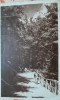 Carte postala, Baile Olanesti, Valcea, defileul, 1945