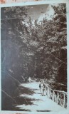 Carte postala, Baile Olanesti, Valcea, defileul, 1945