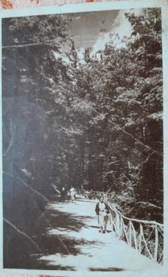 Carte postala, Baile Olanesti, Valcea, defileul, 1945 foto