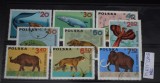 TS23 - Timbre serie Polonia - 1966 Animale preistorice stampilat