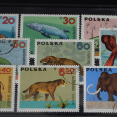 TS23 - Timbre serie Polonia - 1966 Animale preistorice stampilat