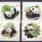 Hong Kong 2008 fauna panda MI 1493-1496 MNH ww74