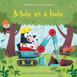 Cumpara ieftin Mole in a Hole
