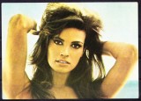 AMS - ILUSTRATA 540 RAQUEL WELCH, NECIRCULATA, Printata