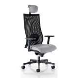 SCAUN DE BIROU ERGONOMIC IRON PDH