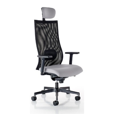 SCAUN DE BIROU ERGONOMIC IRON PDH foto