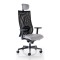 SCAUN DE BIROU ERGONOMIC IRON PDH