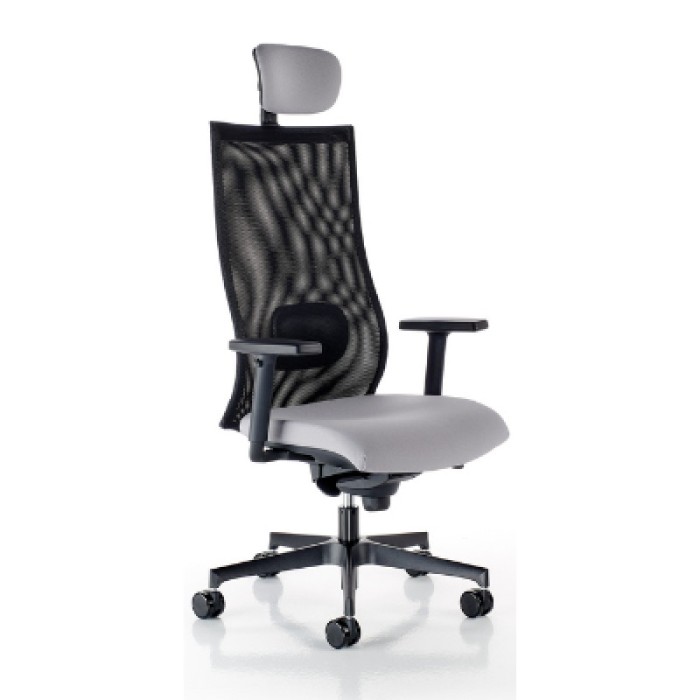 SCAUN DE BIROU ERGONOMIC IRON PDH