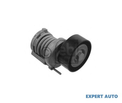 Intinzator curea, curea distributie Volkswagen VW NEW BEETLE Cabriolet (1Y7) 2002-2010 foto