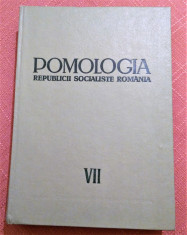 Pomologia R.S.R. Vol. VII. Capsunul, zmeurul, murul, coacazul...- T. Bordeianu foto