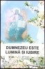 DUMNEZEU ESTE LUMINA SI IUBIRE - P.S. IOACHIM, Carte Crestina, 2009, 80 Pagini, Religie