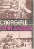 Tema si variatiuni - I.L. Caragiale - Momente, schite, amintiri - Editura Dacia, 1988, 499 pagini