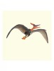 Figurina Dinozaur Pteranodon pictata manual scara 1:40 Deluxe Collecta