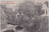 CP Beliu Bel Udvozlet Beelrol Arad Parau ND(1916), Circulata, Fotografie
