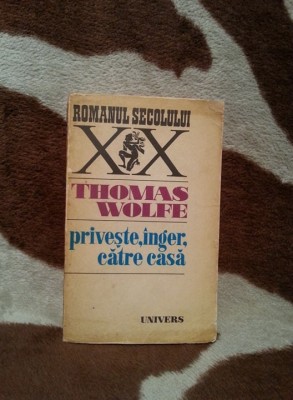 PRIVESTE,INGER,CATRE CASA-THOMAS WOLFE foto