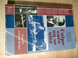 Culpe care nu se uita - Convorbiri cu Cornel Burtica - Rodica Chelaru (Editura Curtea Veche, 2001)