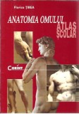 Atlas Anatomia Omului Scolar Florica Tibea Editura Corint 2002 Brosat Stiinte Biologie Carte Elevi