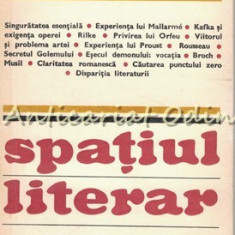 Spatiul Literar - Maurice Blanchot