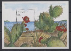 NEVIS 1995 FLORA CACTUSI foto