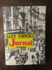 JURNAL -ALICE VOINESCU foto