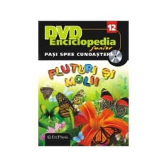 Fluturi si molii - Pasi spre cunostere foto