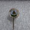 Insigna Bradul Viseu