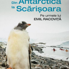Din Antarctica la Scărișoara. Pe urmele lui Emil Racoviță - Paperback brosat - Cristian Lascu, Helmut Ignat - Humanitas
