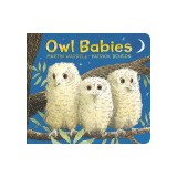 Owl Babies