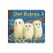 Owl Babies