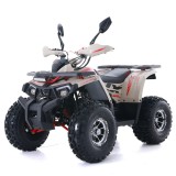 ATV Asix Fourcraft 125cc, A1, roti 8&quot;, jante din aluminiu, 1+1 viteze, culoare r... Cod Produs: MX_NEW A6-AC125A119-4ALLOY